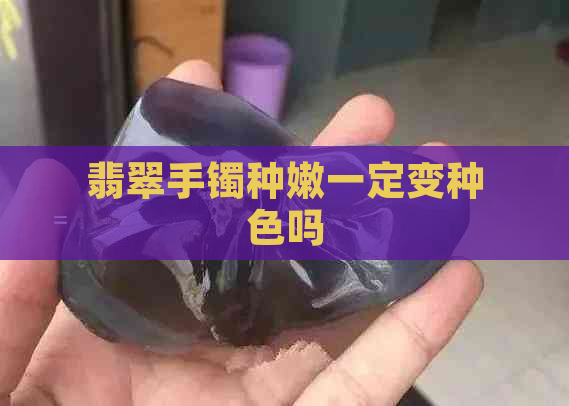 翡翠手镯种嫩一定变种色吗