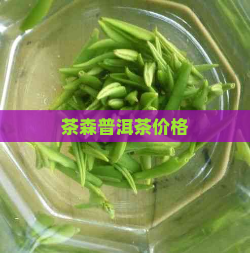 茶森普洱茶价格