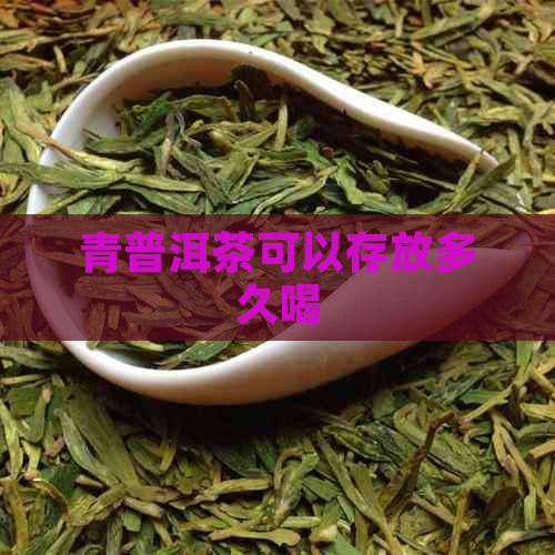 青普洱茶可以存放多久喝