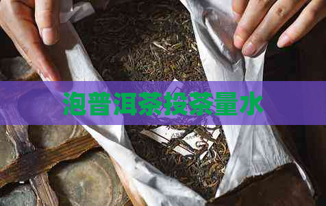 泡普洱茶投茶量水