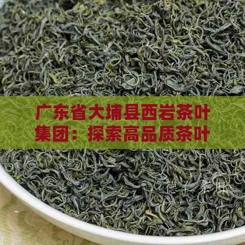 广东省大埔县西岩茶叶集团：探索高品质茶叶的诞生之地与完整生产链