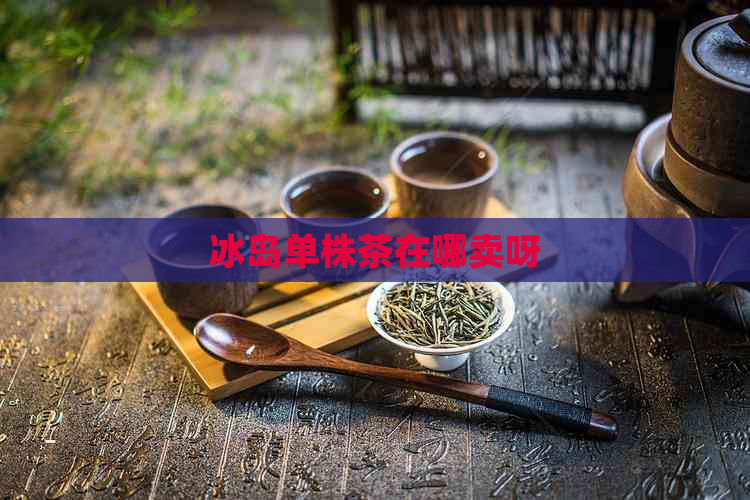 冰岛单株茶在哪卖呀