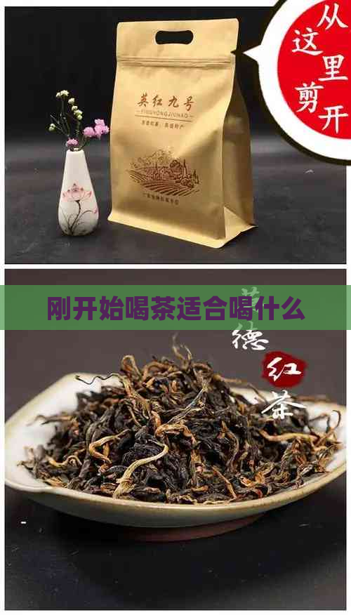 刚开始喝茶适合喝什么