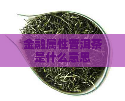 金融属性普洱茶是什么意思