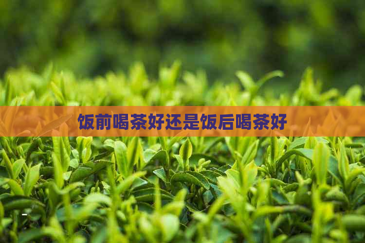 饭前喝茶好还是饭后喝茶好