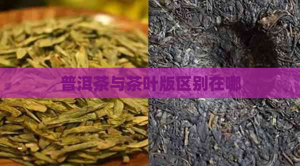 普洱茶与茶叶版区别在哪