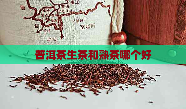 普洱茶生茶和熟茶哪个好