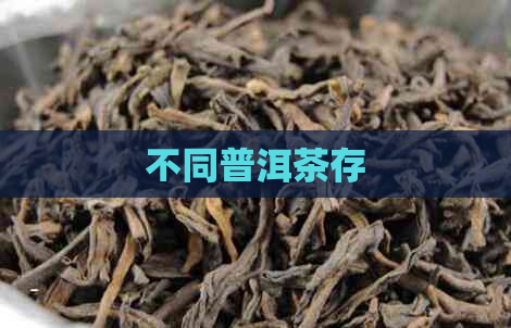 不同普洱茶存