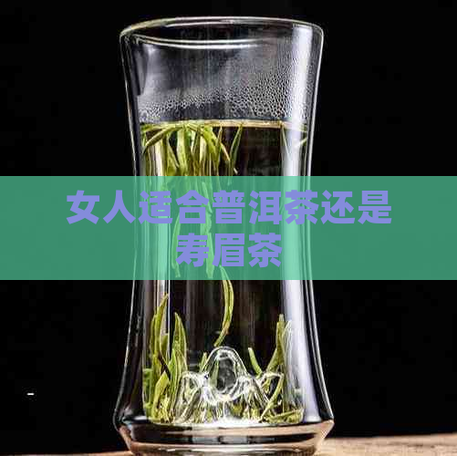 女人适合普洱茶还是寿眉茶