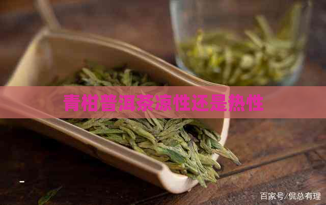 青柑普洱茶凉性还是热性