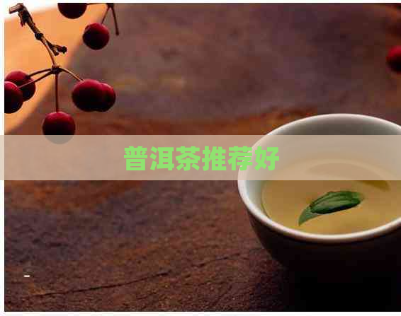 普洱茶推荐好