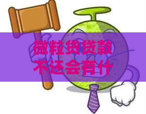 微粒贷贷款不还会有什么后果