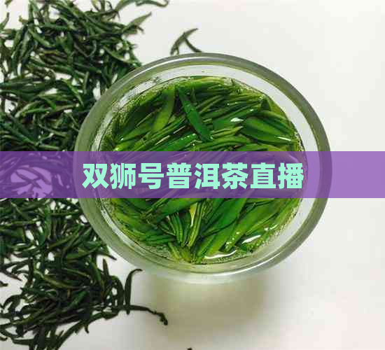 双狮号普洱茶直播