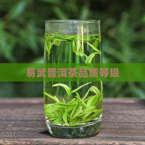 易武普洱茶品质等级