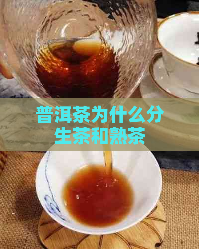 普洱茶为什么分生茶和熟茶