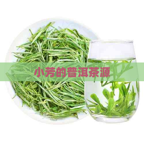 小芳的普洱茶源