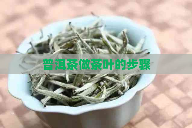 普洱茶做茶叶的步骤