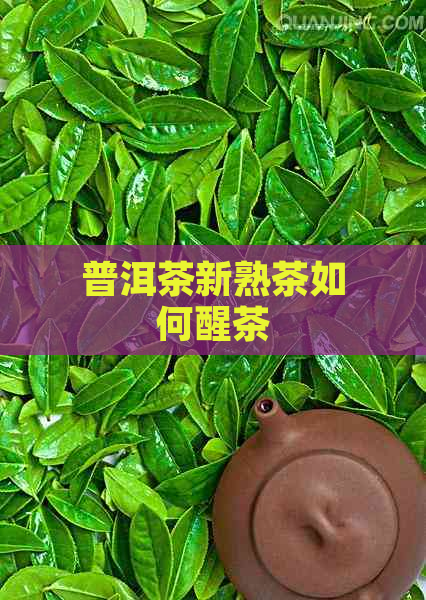 普洱茶新熟茶如何醒茶