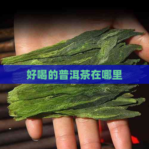 好喝的普洱茶在哪里