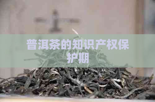 普洱茶的知识产权保护期