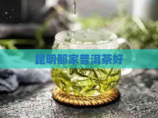 昆明那家普洱茶好