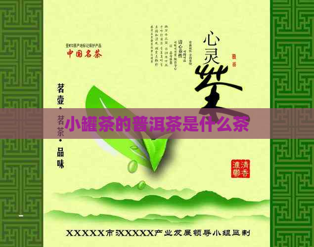 小罐茶的普洱茶是什么茶