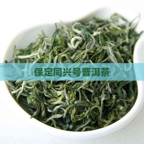 保定同兴号普洱茶