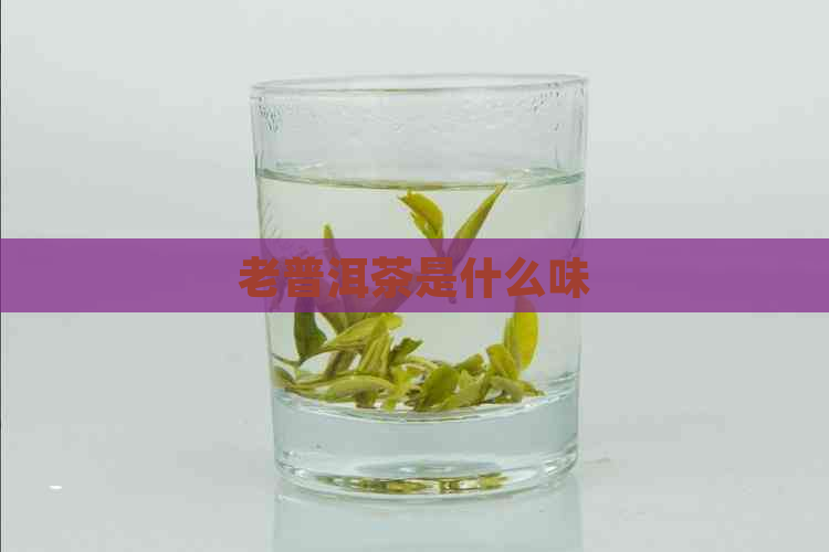 老普洱茶是什么味