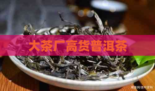 大茶厂高货普洱茶