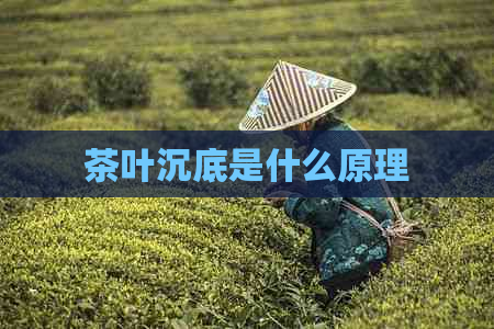 茶叶沉底是什么原理