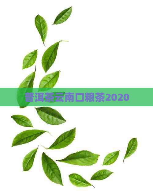 普洱茶云南口粮茶2020