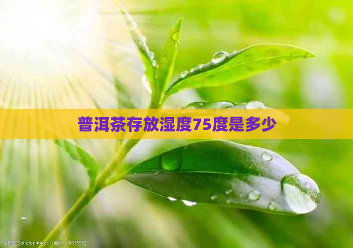 普洱茶存放湿度75度是多少