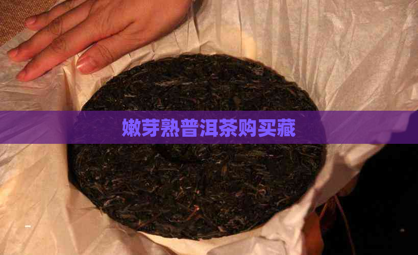 嫩芽熟普洱茶购买藏