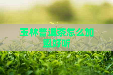 玉林普洱茶怎么加盟好听