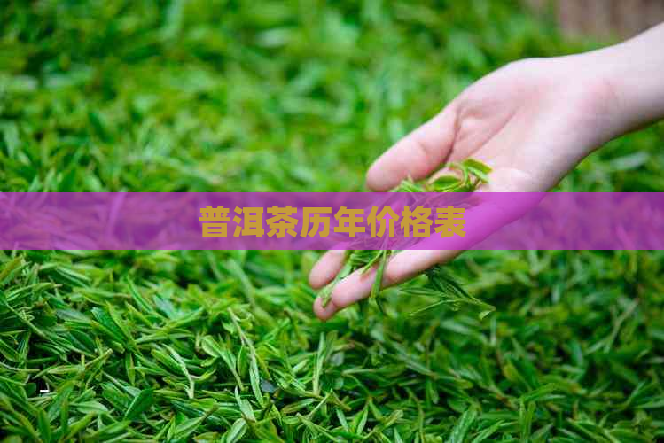 普洱茶历年价格表