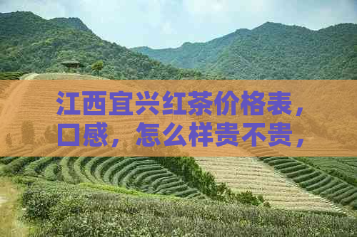 江西宜兴红茶价格表，口感，怎么样贵不贵，出名吗？