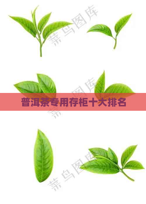 普洱茶专用存柜十大排名