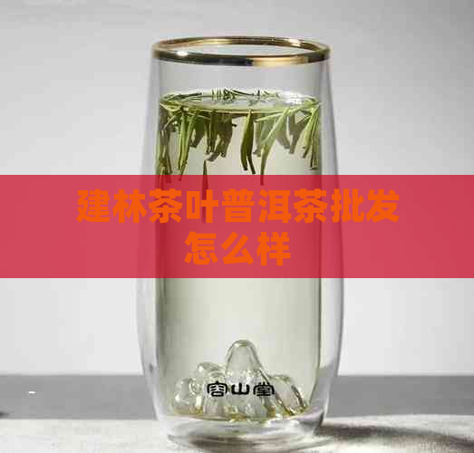 建林茶叶普洱茶批发怎么样