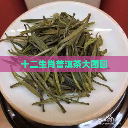 十二生肖普洱茶大团圆