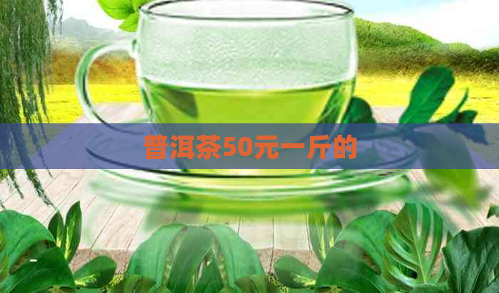 普洱茶50元一斤的