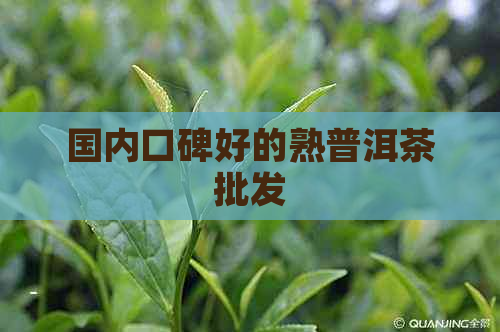 国内口碑好的熟普洱茶批发