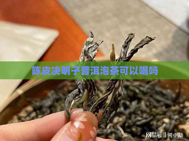 陈皮决明子普洱泡茶可以喝吗