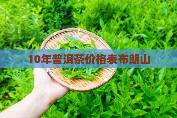 10年普洱茶价格表布朗山