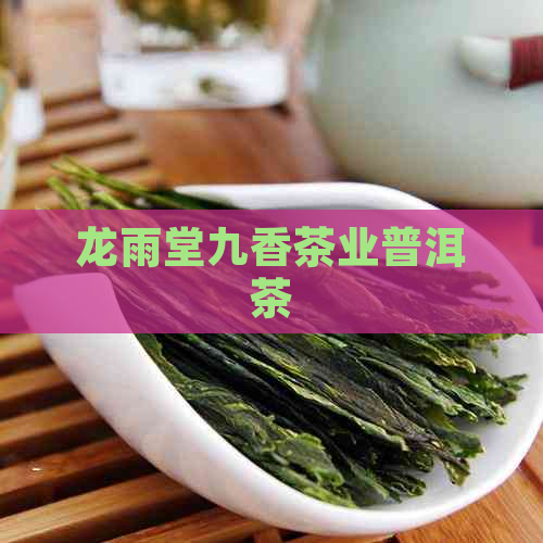 龙雨堂九香茶业普洱茶