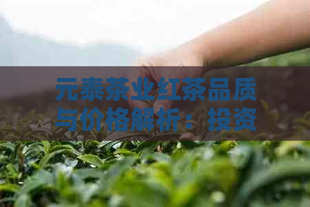 元泰茶业红茶品质与价格解析：投资收藏的选择