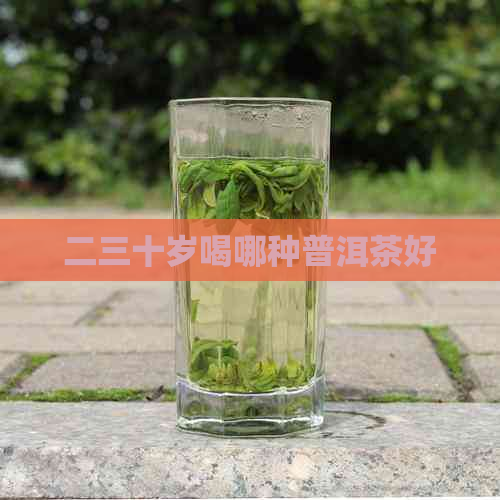 二三十岁喝哪种普洱茶好