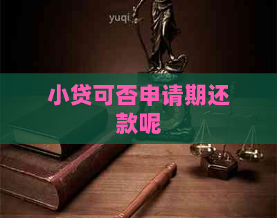 小贷可否申请期还款呢