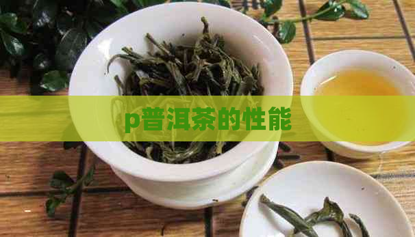 p普洱茶的性能