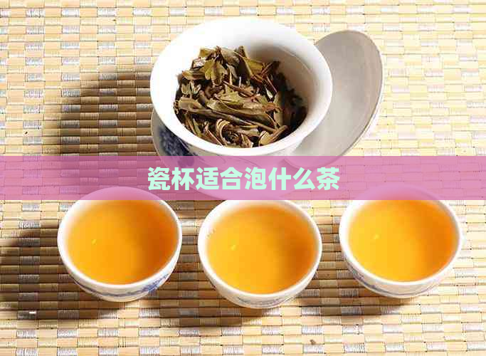 瓷杯适合泡什么茶