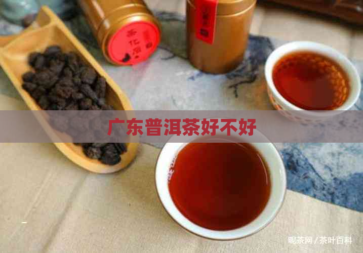 广东普洱茶好不好